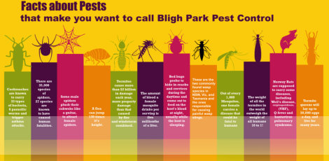 Facts about pests