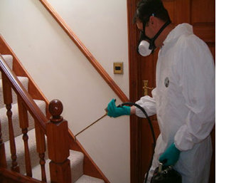 residential pest control